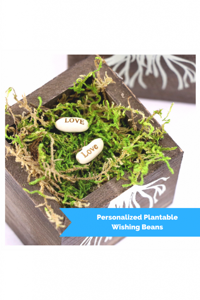 Personalized Plantable Wishing Beans