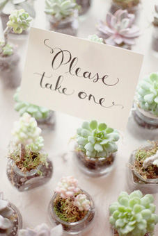 Romantic Outdoor Wedding Ideas succulents1 Romantic Outdoor Wedding Ideas
