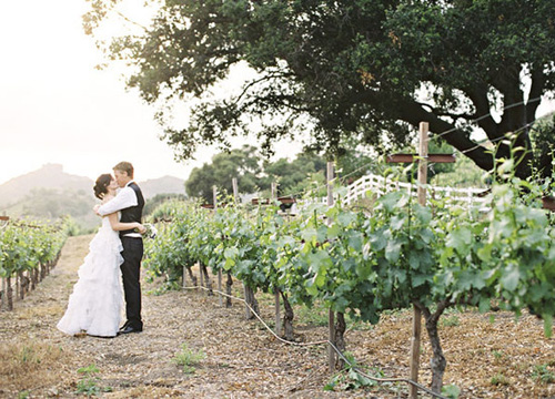 Planning A Casual Vineyard Wedding vineyardwedding Planning A Casual Vineyard Wedding