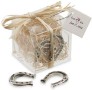 Silver Horseshoe Charms Box