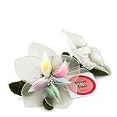 Candy Lily Favor