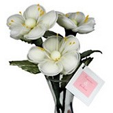 Almond Flower Candies