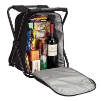 Outdoor 24-Can Backpack Insulated Compartment Cooler with Integrated Folding Chair