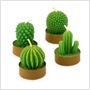 cactus candles