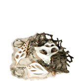 Sliced Beach Seashell Keychain (New Arrival)