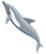 dolphin