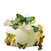 Hand Painted Garden Green Butterfly Cake Decoration