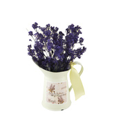 Mini Vintage Water Can Pitcher Favor (New Arrival)