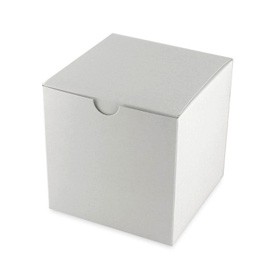 unknown White Glossy Favor Boxes (Set of 12)