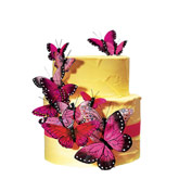 Hand+Painted+Romantic+Pink+Butterfly+Cake+Decoration