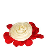 Ivory Organza Rosette Bridesmaid Pouch (New Arrival)