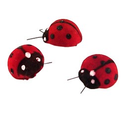 Lady Bugs (Set of 12)*