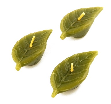 unknown Mini Green Leaf Candles - Set of 6