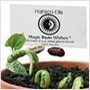 magic beans