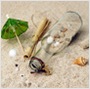 glass bottle
