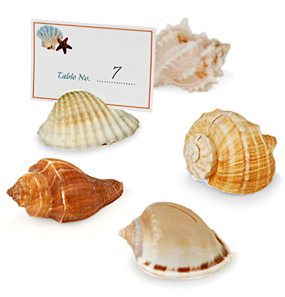 Beach Seashell Place Card Holders (Set of 10)