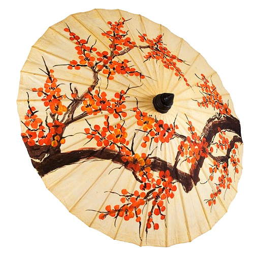 unknown Hand Painted Orange Blossom Thai Wedding Parasol