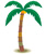 palm tree