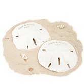Personalized+Sand+Dollar+Favor