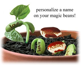 unknown Personalized Plantable Wishing Beans