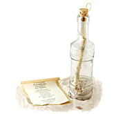Royal Wedding Glass Message In A Bottle Invitation - Available 6/17/13