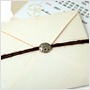 sandollar charm