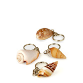 Natural Seashell Keychain