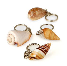unknown Natural Seashell Keychain