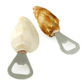 Beach Seashell Bottle Opener