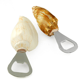 Beach Seashell Bottle Opener - Est. Arrival Sept. 10th