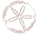 sand dollar