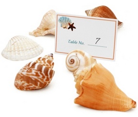 Beach Seashell Placecard Holders (Set of 12)*