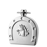 Lucky Horseshoe Flask