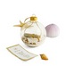 Beach Wedding Message in an Ornament