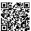 QR Code for Just Married Vintage Wedding Candle Car*