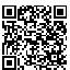 QR Code for 50 Yards Chic Pull Bow Ribbon