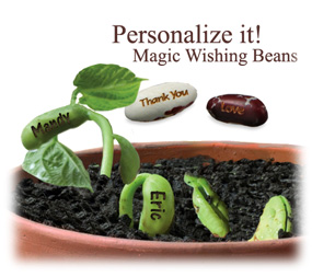 Evelyn Markowski writes – Personalized Magic Wishing Bean Favor