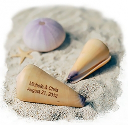 Personalized Virgo Cone Sea Shells