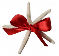 Beach Finger Starfish Favor of Love