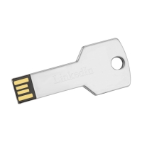 8GB USB Stainless Steel Key Flash Drive*