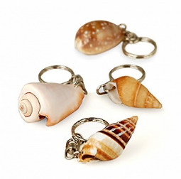 Natural Seashell Keychain