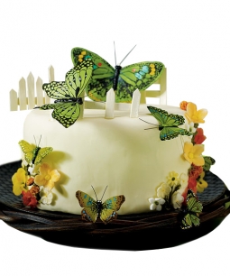 Hand Painted Garden Green Butterfly Cake Decoration (2 Dozen)*
