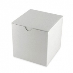 White Glossy Favor Boxes (Set of 12)