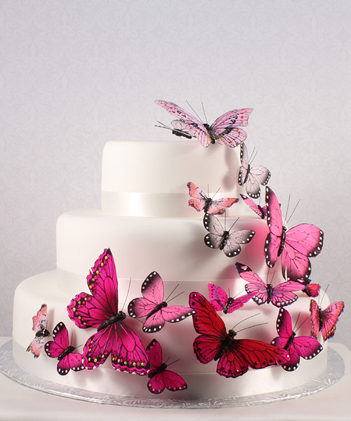 Hand Painted Romantic Pink Butterfly Cake Decoration Hansonellis Com