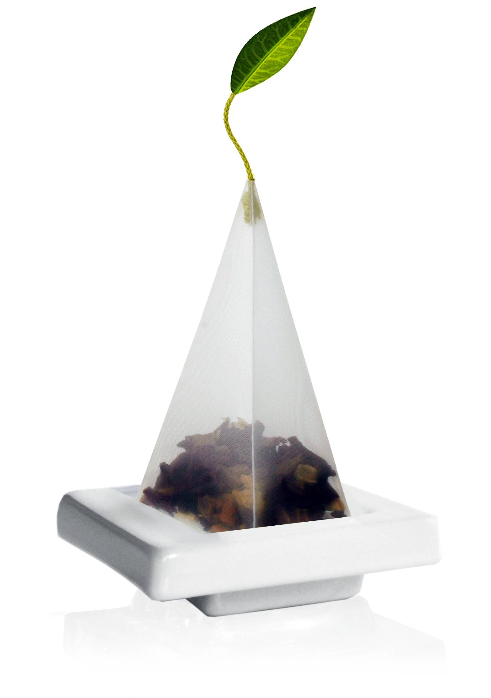 All About Tea Bags - Benefits, Usage, Types, Production, & More