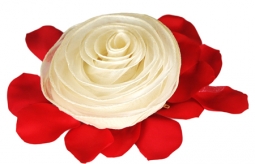 Ivory Organza Rosette Bridesmaid Pouch*