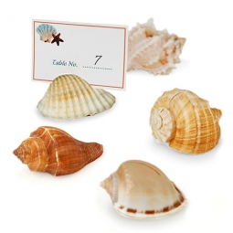 Beach Seashell Place Card Holders (Shells Only - Set of 12)