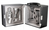 His & Hers Stainless Steel Martini Bar Glass Set with Hard Carry Case