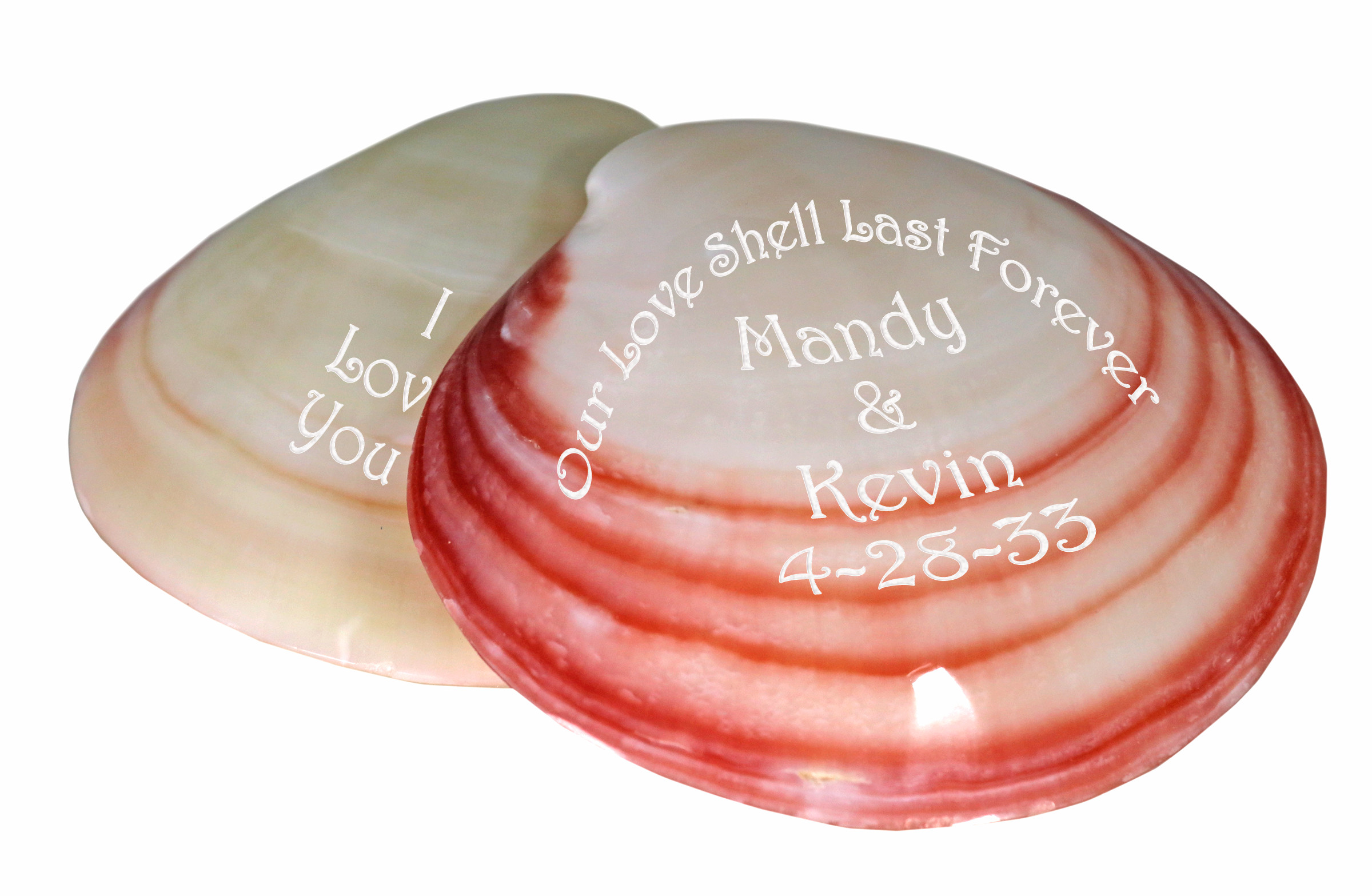 Personalized Polished Beach Clam Seashell Favors