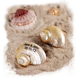 Personalized Turban Shimmering Seashells